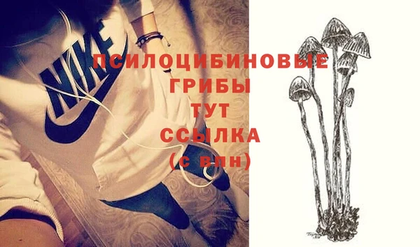 гашик Новодвинск