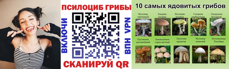 Псилоцибиновые грибы мухоморы  blacksprut вход  Переславль-Залесский 
