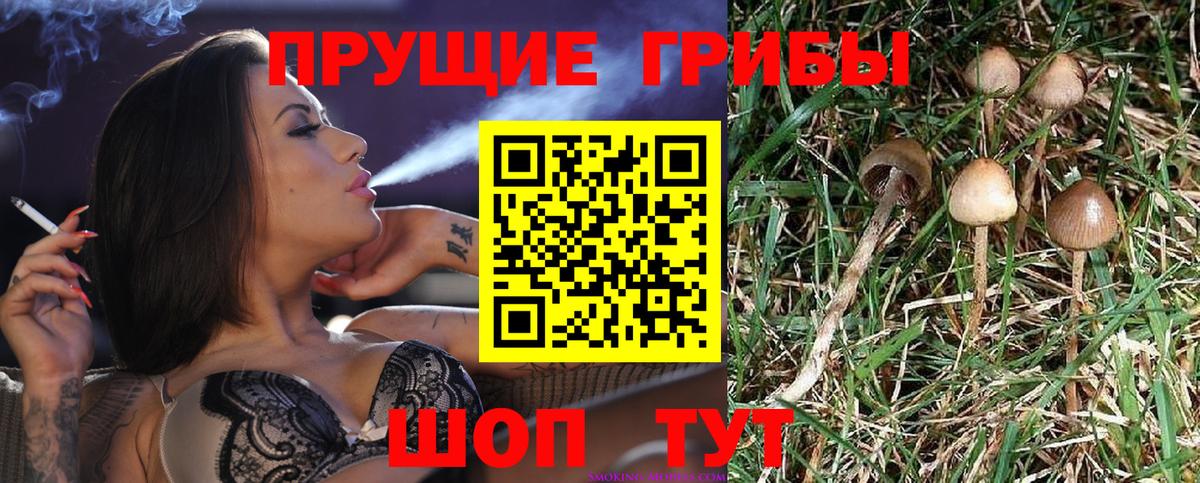 Галлюциногенные грибы Magic Shrooms  Псилоцибиновые грибы Magic Shrooms  Переславль-Залесский 
